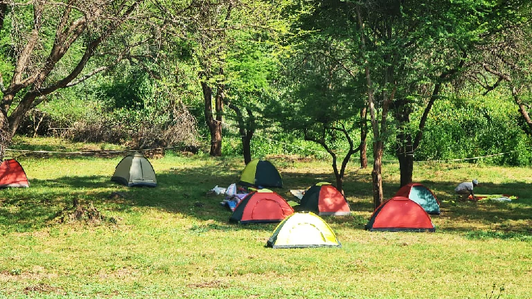 Multiple tents in camp
